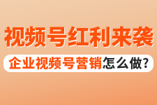 短视频时代，许茹冰老师告诉你企业微信视频号怎么做